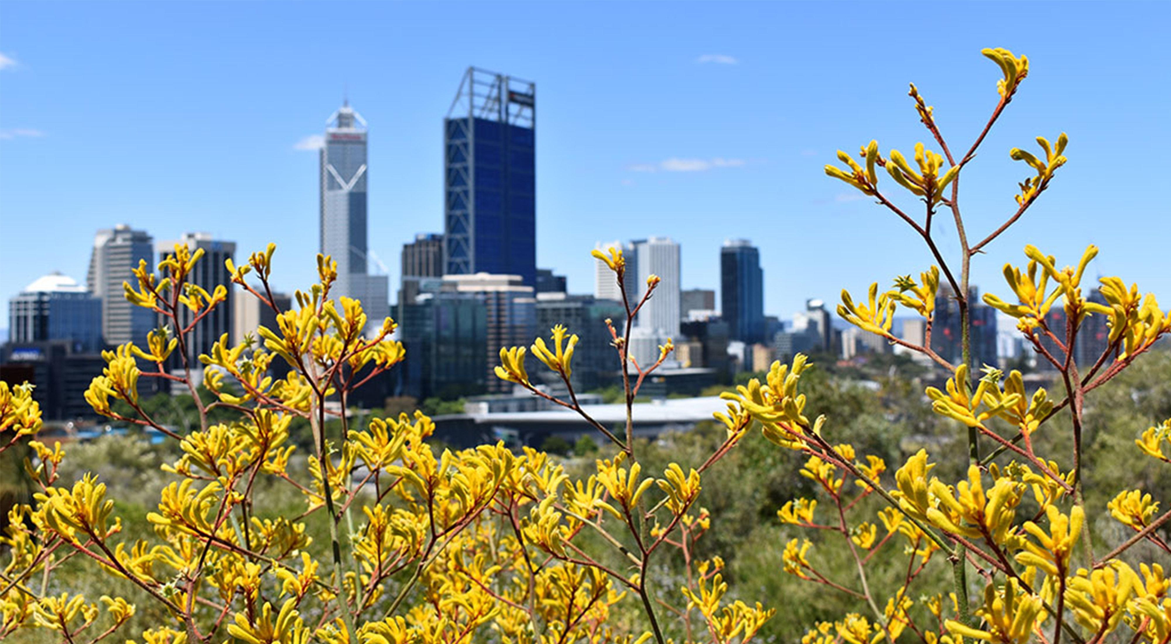 Holiday Inn Perth City Centre By Ihg Exterior foto